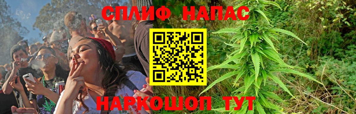 Канабис White Widow  Канабис план  Бошки марихуана THC 21%  Бошки Шишки семена  Вход с VPN  Строитель 